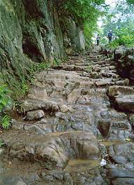 老司机福利影院在线视频体验区