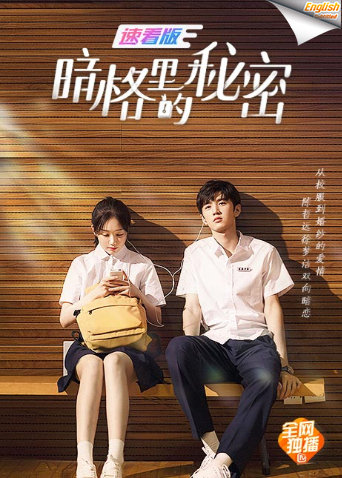 暗格里的秘密速看版英语版字幕