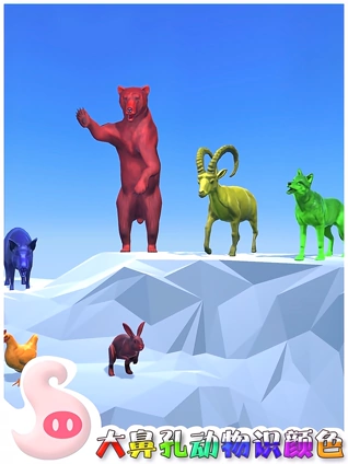 大鼻孔动物识颜色